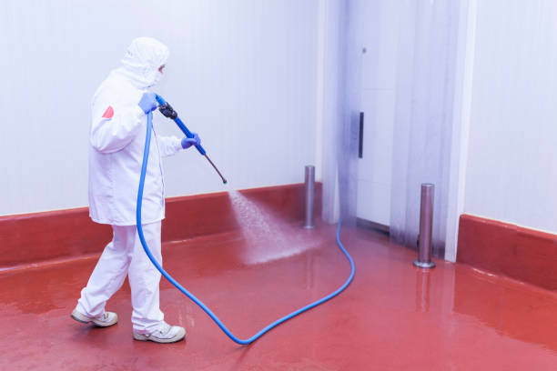 Best Solar Panel Cleaning  in St James, NY